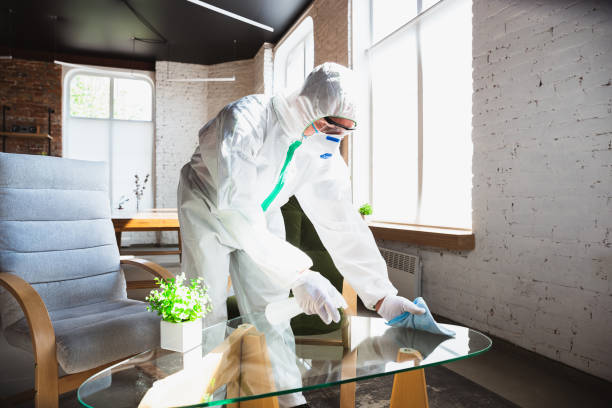 Best Forensic Mold Investigation  in Biltmore, TN